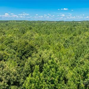 Photo #19 of Daystar, Lancaster, SC