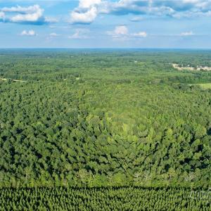 Photo #2 of Daystar, Lancaster, SC