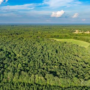 Photo #20 of Daystar, Lancaster, SC