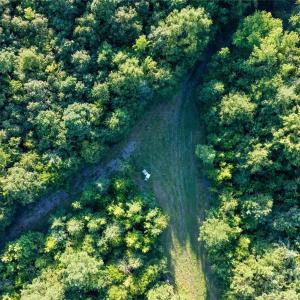 Photo #11 of Daystar, Lancaster, SC