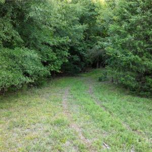 Photo #10 of Daystar, Lancaster, SC