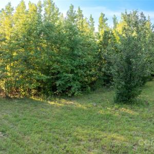 Photo #4 of Daystar, Lancaster, SC