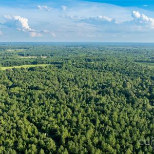 Photo #7 of Daystar, Lancaster, SC