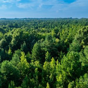 Photo #15 of Daystar, Lancaster, SC