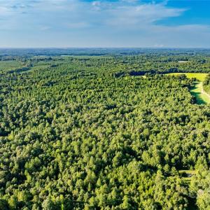 Photo #6 of Daystar, Lancaster, SC