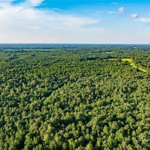 Photo #18 of Daystar, Lancaster, SC