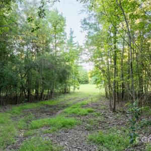 Photo #3 of Daystar, Lancaster, SC