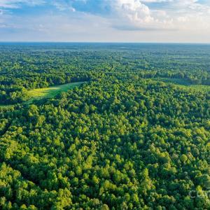 Photo #13 of Daystar, Lancaster, SC