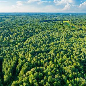 Photo #9 of Daystar, Lancaster, SC