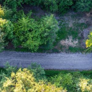 Photo #6 of Daystar, Lancaster, SC