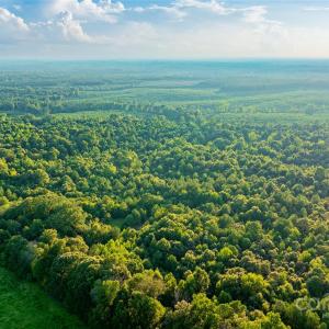 Photo #17 of Daystar, Lancaster, SC