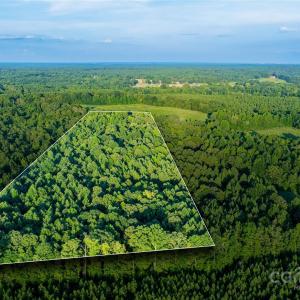 Photo #10 of Daystar, Lancaster, SC