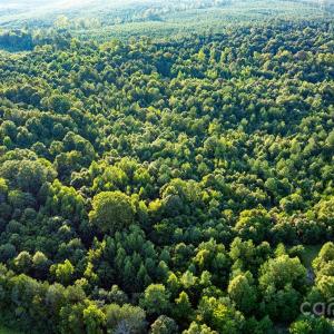 Photo #7 of Daystar, Lancaster, SC