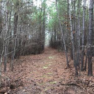 Photo #1 of 68 Lakeside, Lilesville, NC