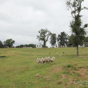 Photo #3 of 212 Guardian, Rockingham, NC