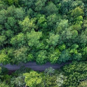 Photo #15 of Daystar, Lancaster, SC