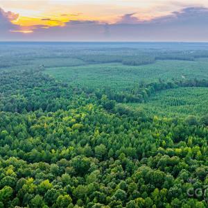 Photo #9 of Daystar, Lancaster, SC