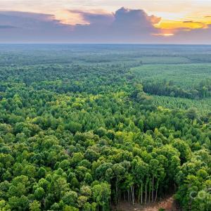 Photo #12 of Daystar, Lancaster, SC