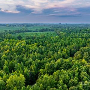 Photo #14 of Daystar, Lancaster, SC