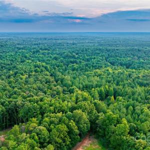 Photo #11 of Daystar, Lancaster, SC