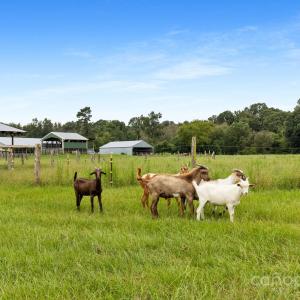 Photo #26 of 1333 Bunnlevel Erwin, Bunnlevel, NC