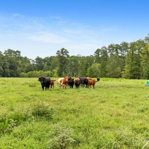 Photo #27 of 1333 Bunnlevel Erwin, Bunnlevel, NC