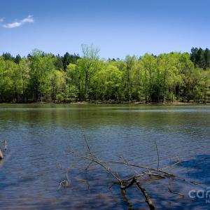 Photo #12 of 23 AC Ned Marsh, Salisbury, NC