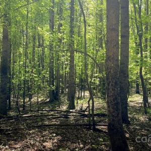 Photo #15 of 23 AC Ned Marsh, Salisbury, NC