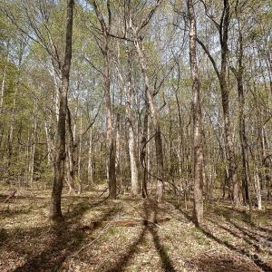 Photo #17 of 23 AC Ned Marsh, Salisbury, NC