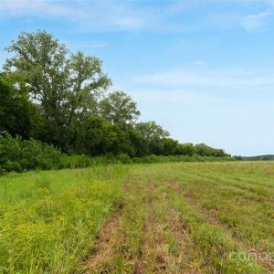 Photo #23 of Milling, Rock Hill, SC