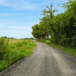 Photo #18 of Milling, Rock Hill, SC