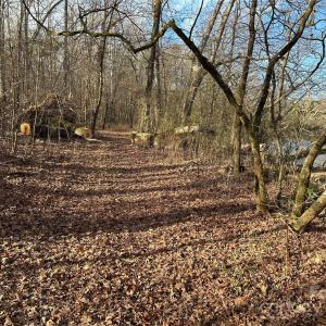 Photo #10 of 7718 Pleasant Hill Church, Marshville, NC