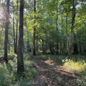 Photo #24 of Maggie Robinson, Waxhaw, NC