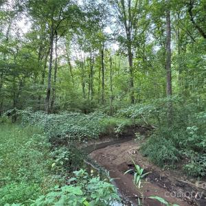 Photo #27 of Maggie Robinson, Waxhaw, NC