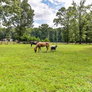 Photo #19 of Maggie Robinson, Waxhaw, NC