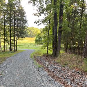 Photo #13 of Maggie Robinson, Waxhaw, NC