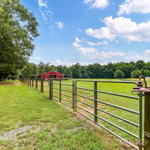 Photo #16 of Maggie Robinson, Waxhaw, NC