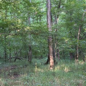 Photo #25 of Maggie Robinson, Waxhaw, NC