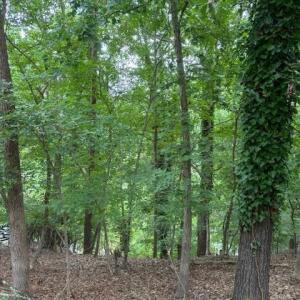 Photo #1 of 10045 Tepa, Tega Cay, SC