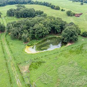 Photo #20 of Tract A Rock Hole, Stanfield, NC