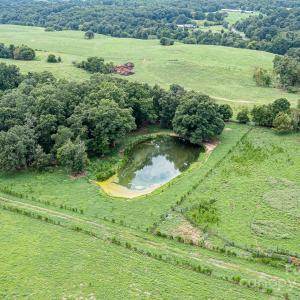 Photo #19 of Tract A Rock Hole, Stanfield, NC