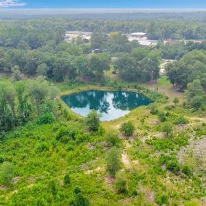 Photo #7 of 113 Jones, Kershaw, SC