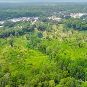 Photo #16 of 113 Jones, Kershaw, SC