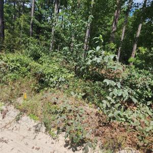 Photo #1 of 2340 Camp, Bethune, SC