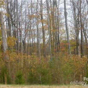 Photo #7 of 602 Sorrell Spring, Waxhaw, NC