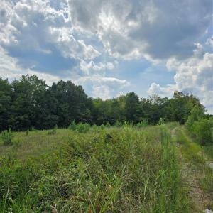 Photo #1 of 1768 Concord Lake, Kannapolis, NC