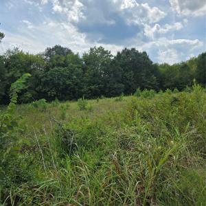 Photo #2 of 1768 Concord Lake, Kannapolis, NC