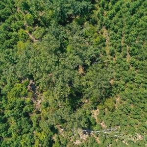 Photo #27 of Old Windmill, Ridgeway, SC