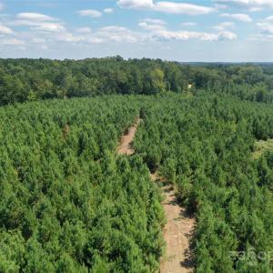 Photo #25 of Old Windmill, Ridgeway, SC