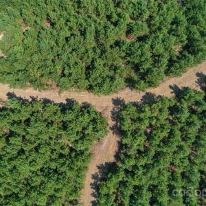 Photo #16 of Old Windmill, Ridgeway, SC